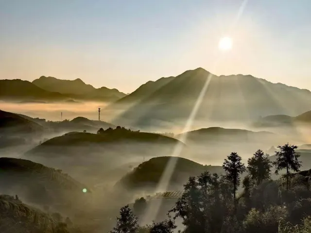 茶园影像 · 17