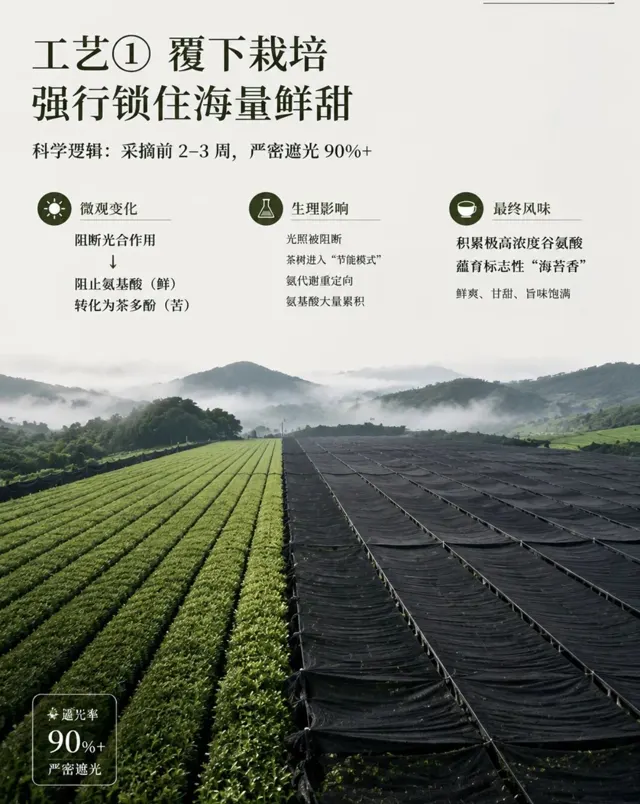 工艺与选型资料 · 23