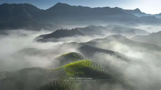 茶园影像 · 08